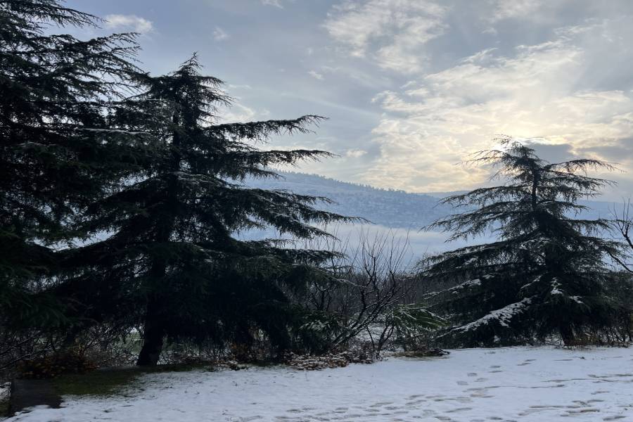 responsive slider image